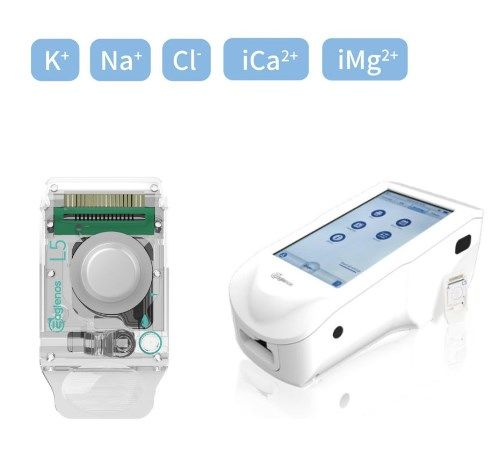 Electrolyte Analyzer P13 IMG